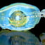 Small image 8