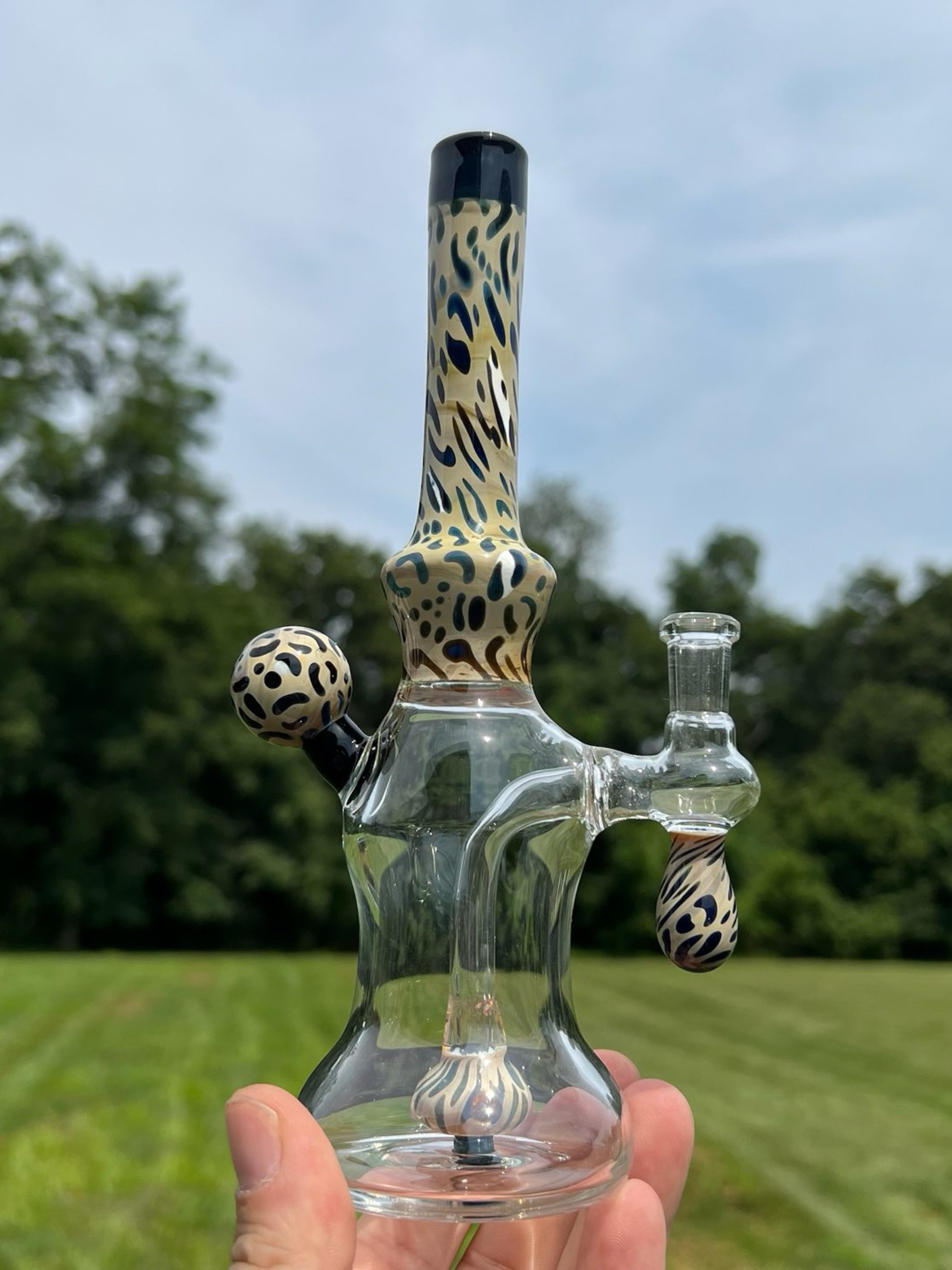 Preview pic of Galaxy leopard Rig🐆