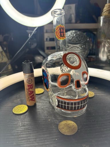 Preview pic of Day of the dead rig