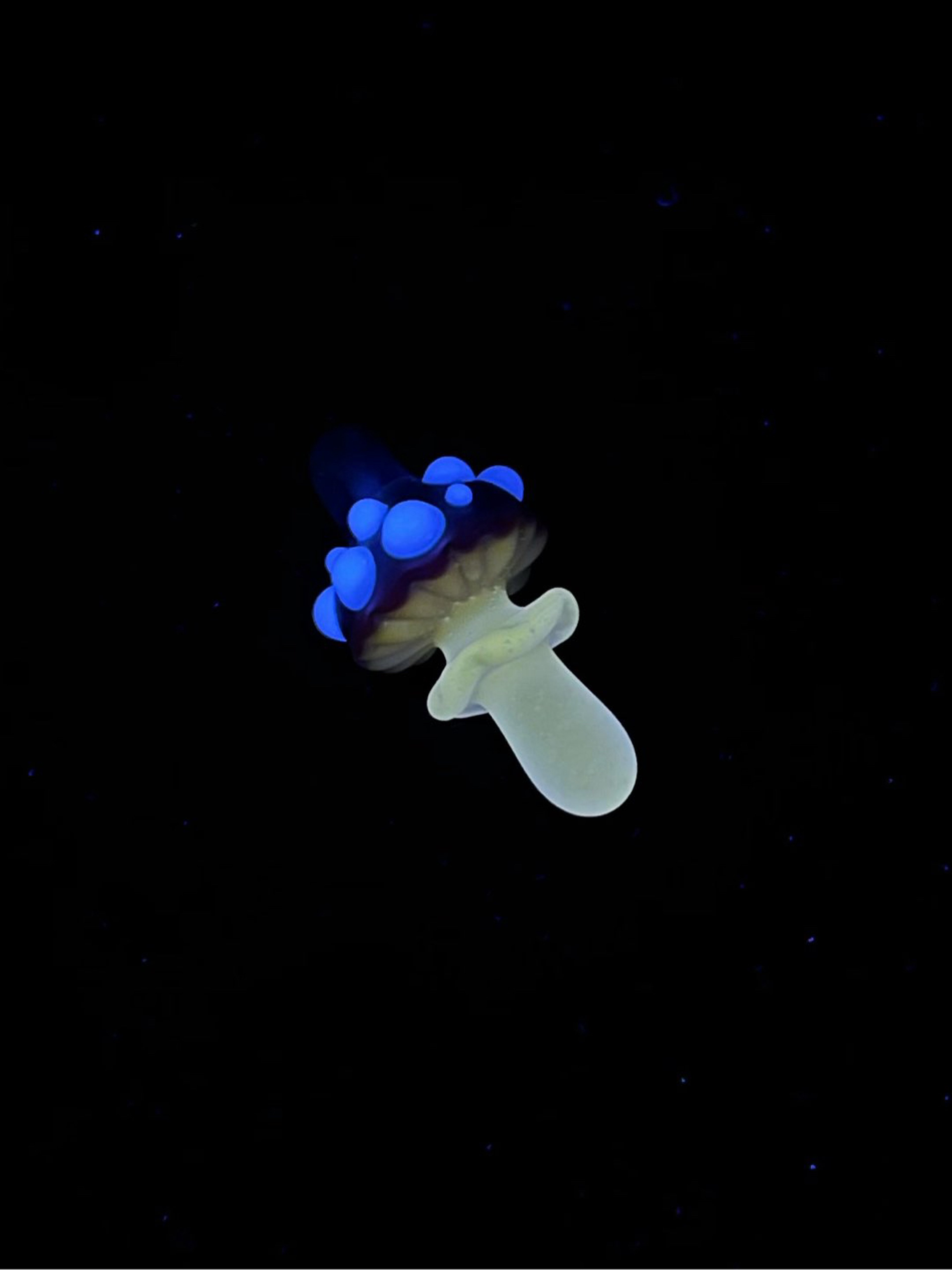 Preview pic of UV Mushroom Pendant by Finer Glass