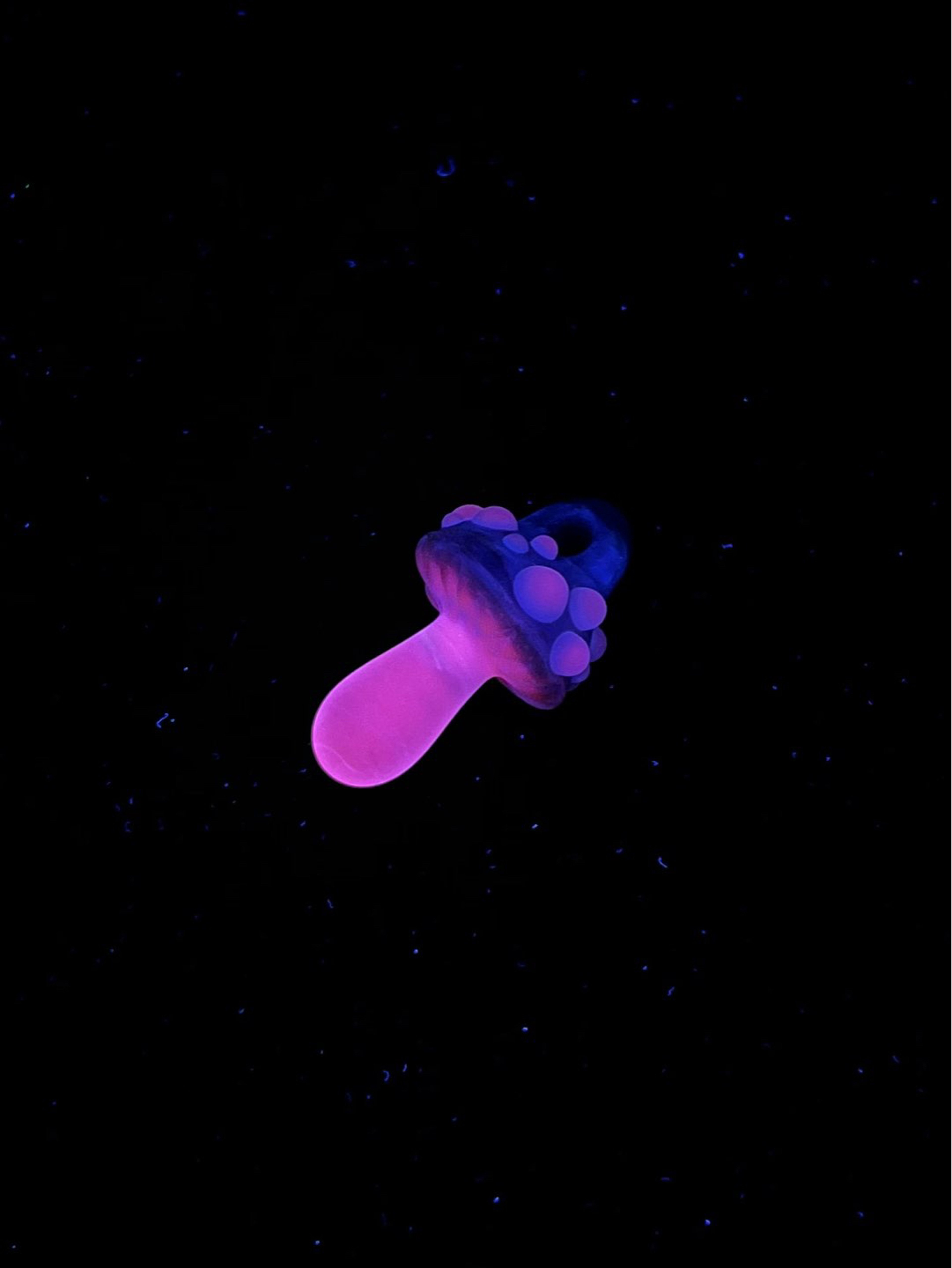 Preview pic of UV Mushroom Pendant by Finer Glass