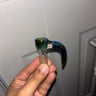 Small image 5