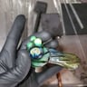 Small image 1