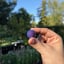 Small image 4