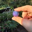 Small image 6