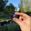 Small image 5