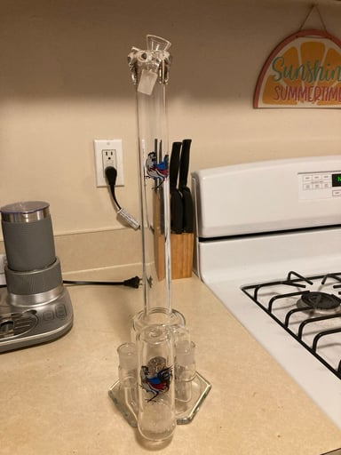 Preview pic of Rooster apparatus Dave Goldstein Hightower