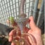 Small image 7