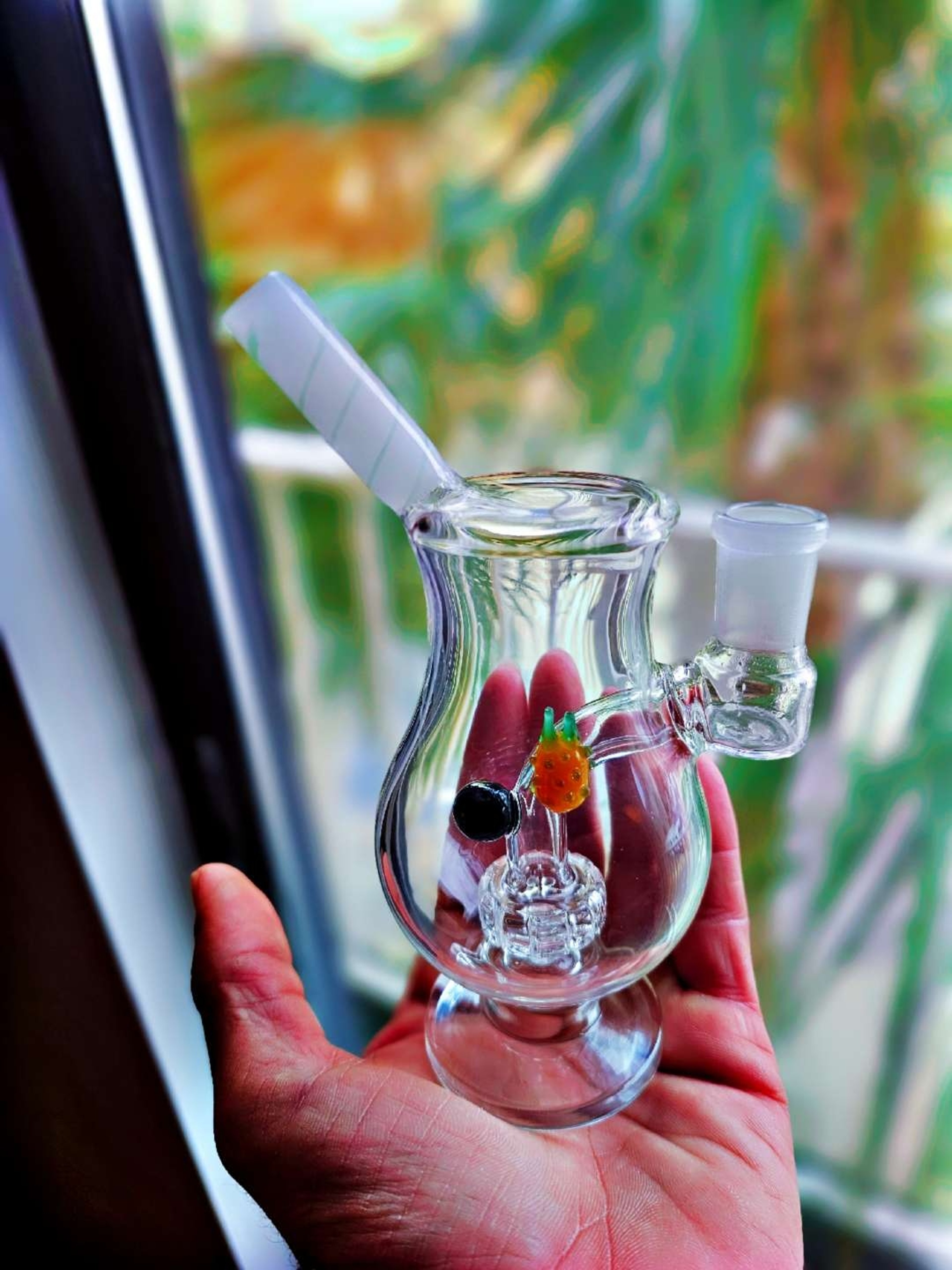 Preview pic of Tropical Terps