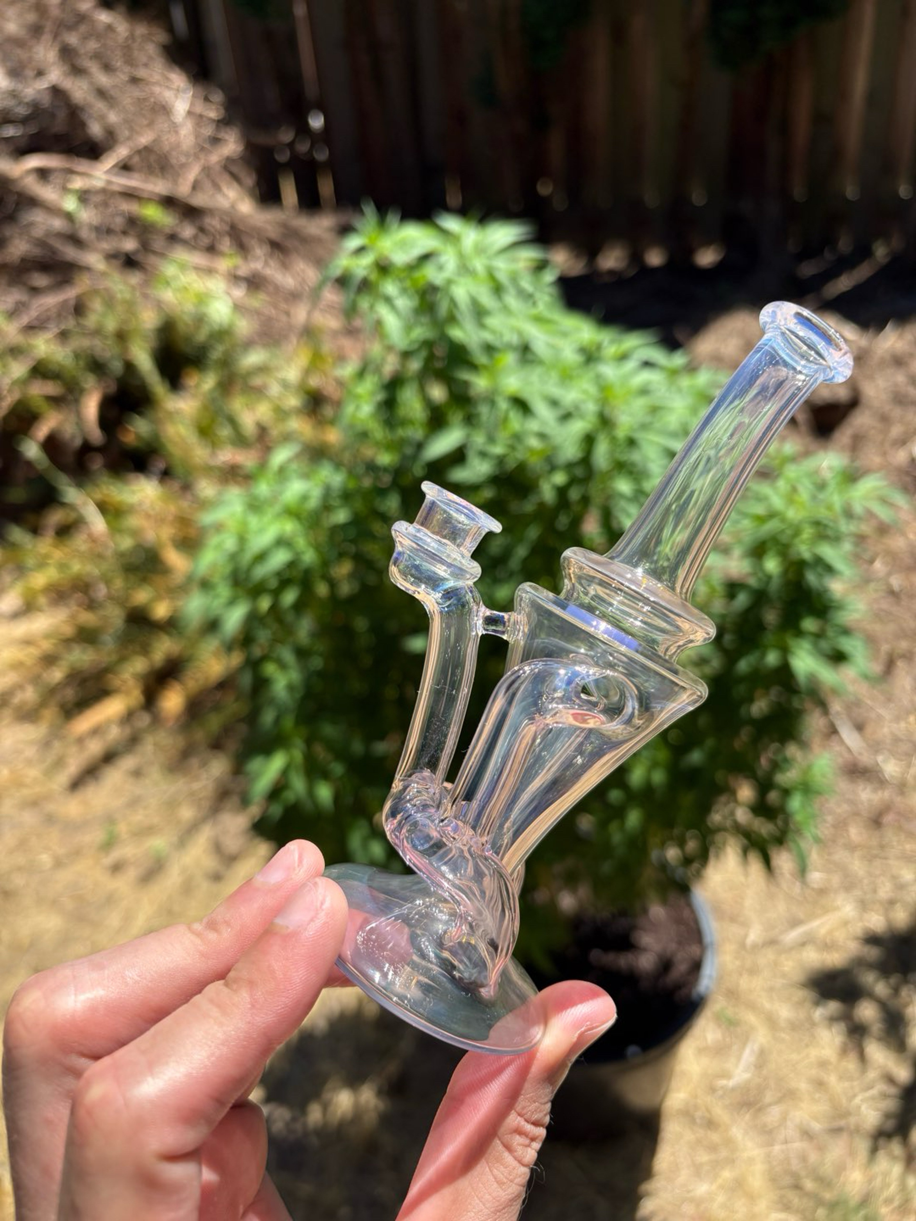 Preview pic of Takeo glass 10mm