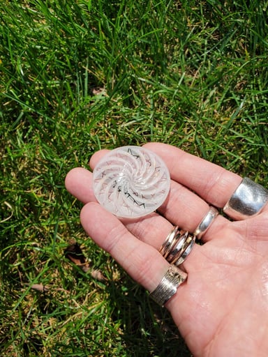 Preview pic of UNK spinner disc