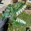 Small image 5