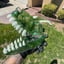 Small image 6