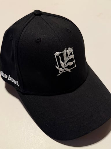 Preview pic of Fernway Black Dad Hat w/ Leather Strap New One Size Fits Most