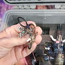 Small image 3