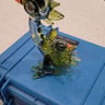 Small image 0