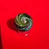 Small image 5