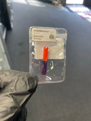 Preview pic of Pukinbeagle 2-Tone Pillar