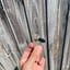 Small image 8