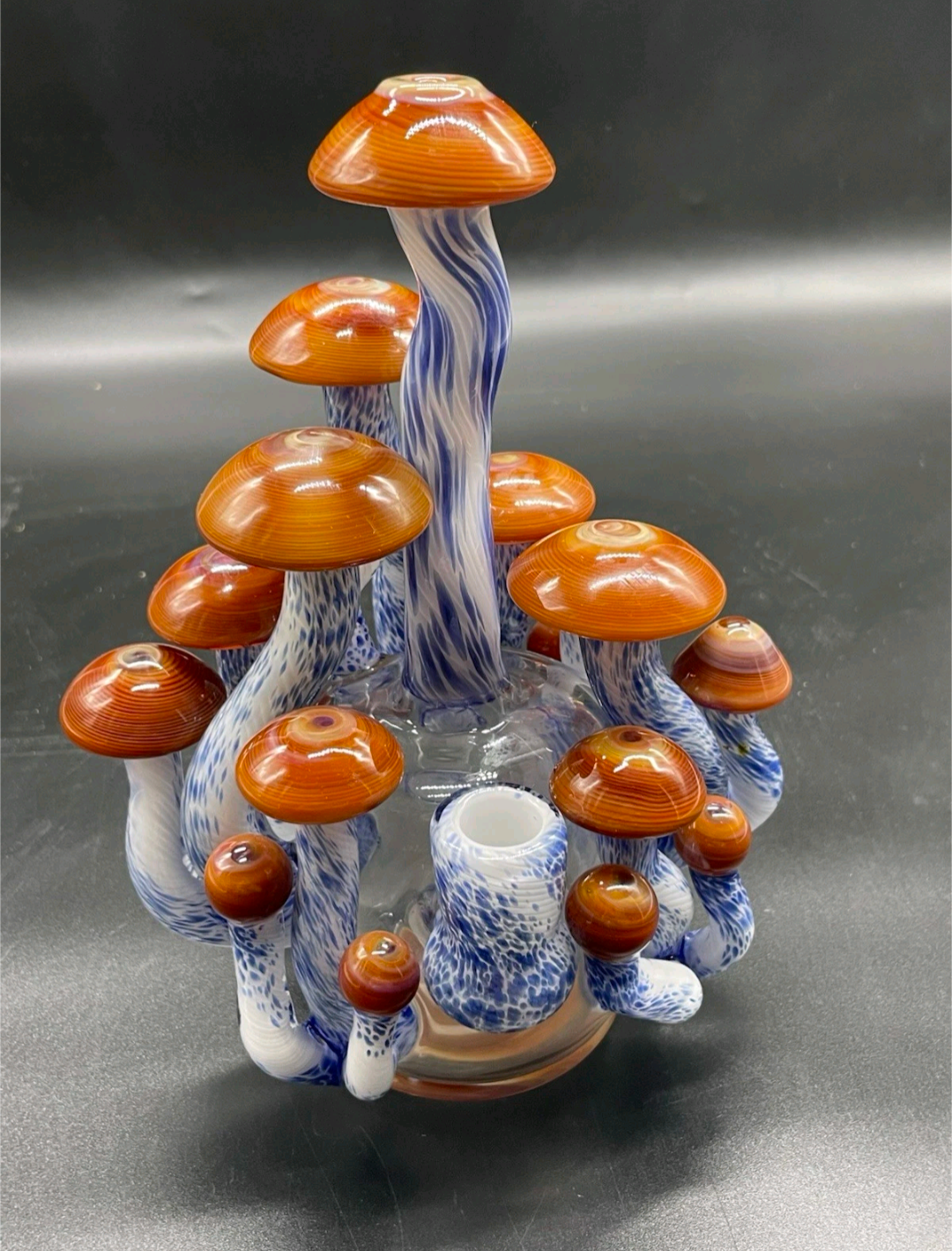 Space case glass Custom borosilicate glass FUNCTIONAL ART !!! image 0