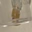 Small image 6