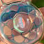 Small image 6