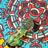 Small image 0