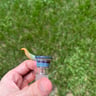 Small image 1