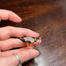 Small image 2