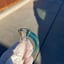 Small image 4