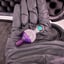 Small image 8