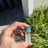 Small image 2