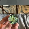 Small image 2