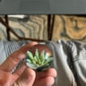 Small image 3