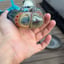 Small image 2