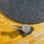 Small image 9