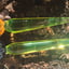 Small image 9