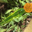 Small image 8