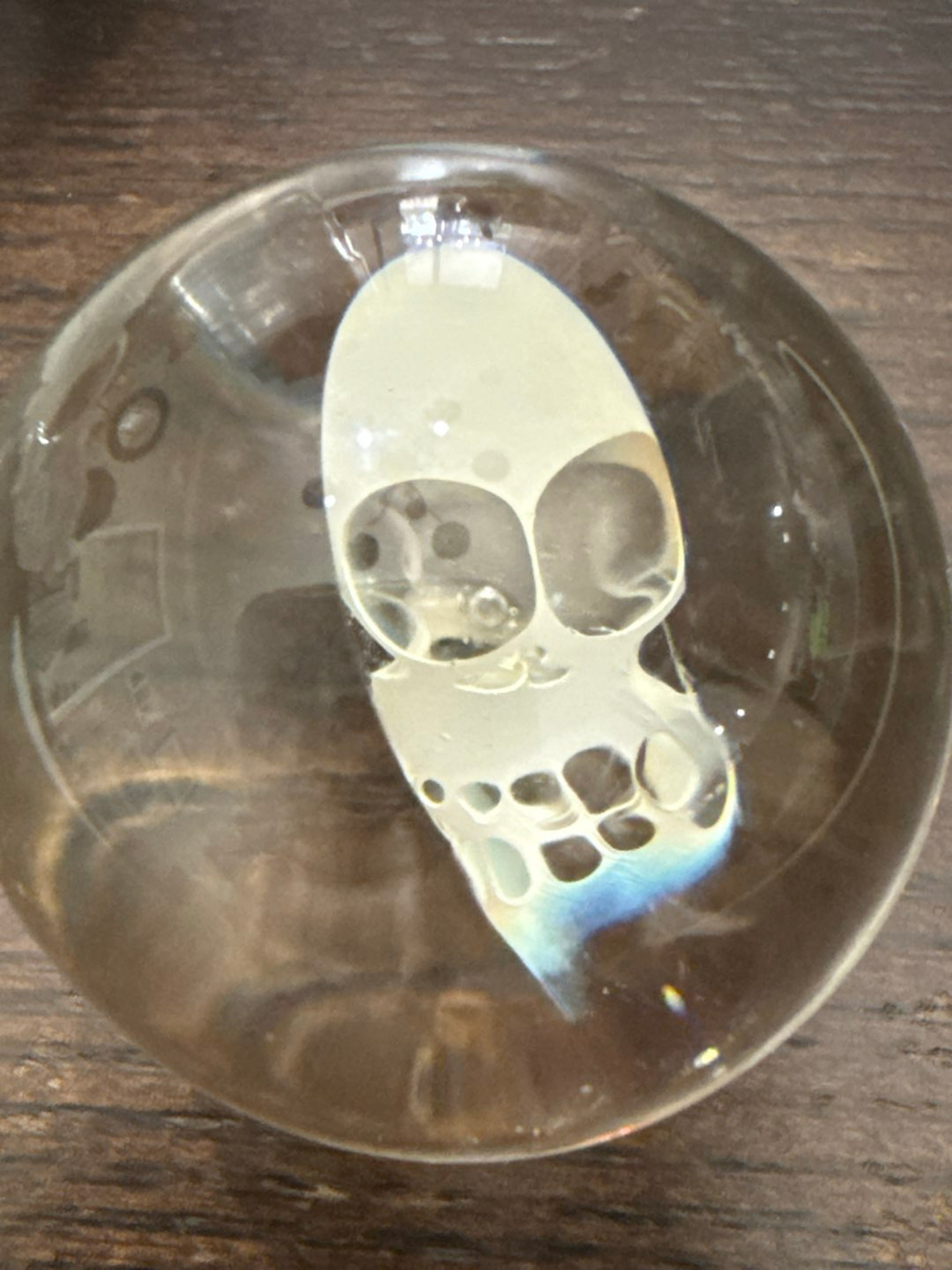 Preview pic of Bob snodgrass skull marble