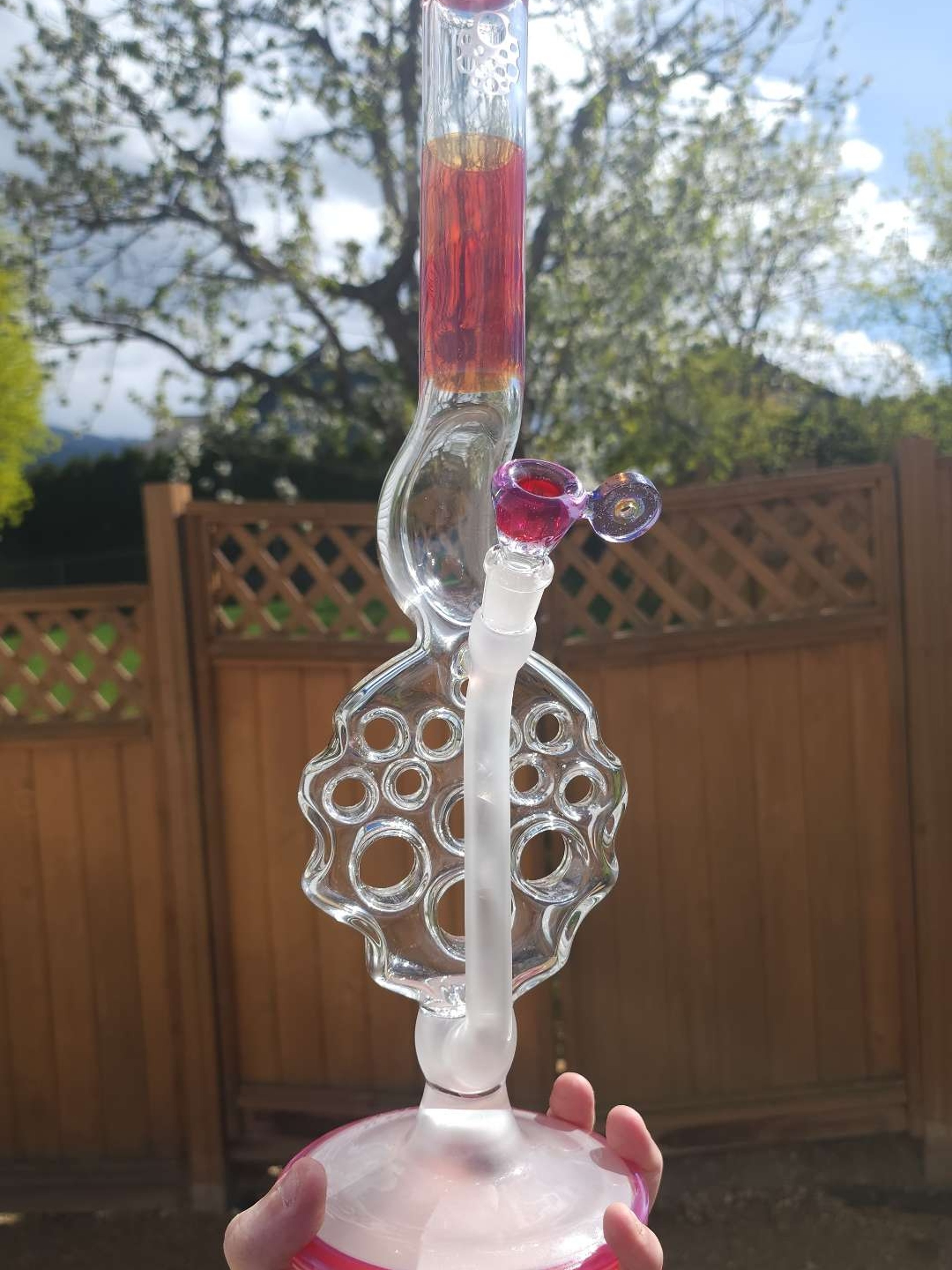 Preview pic of 2020 Purple Rainbow