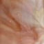 Small image 7