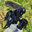 Small image 6