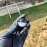 Small image 2