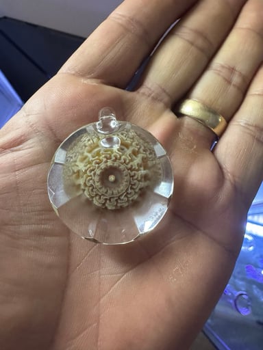 Preview pic of Pendy collection :)