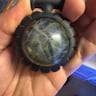 Small image 4