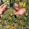 Small image 0