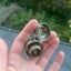 Small image 5