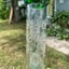 Small image 6