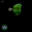 Small image 6