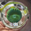 Small image 6